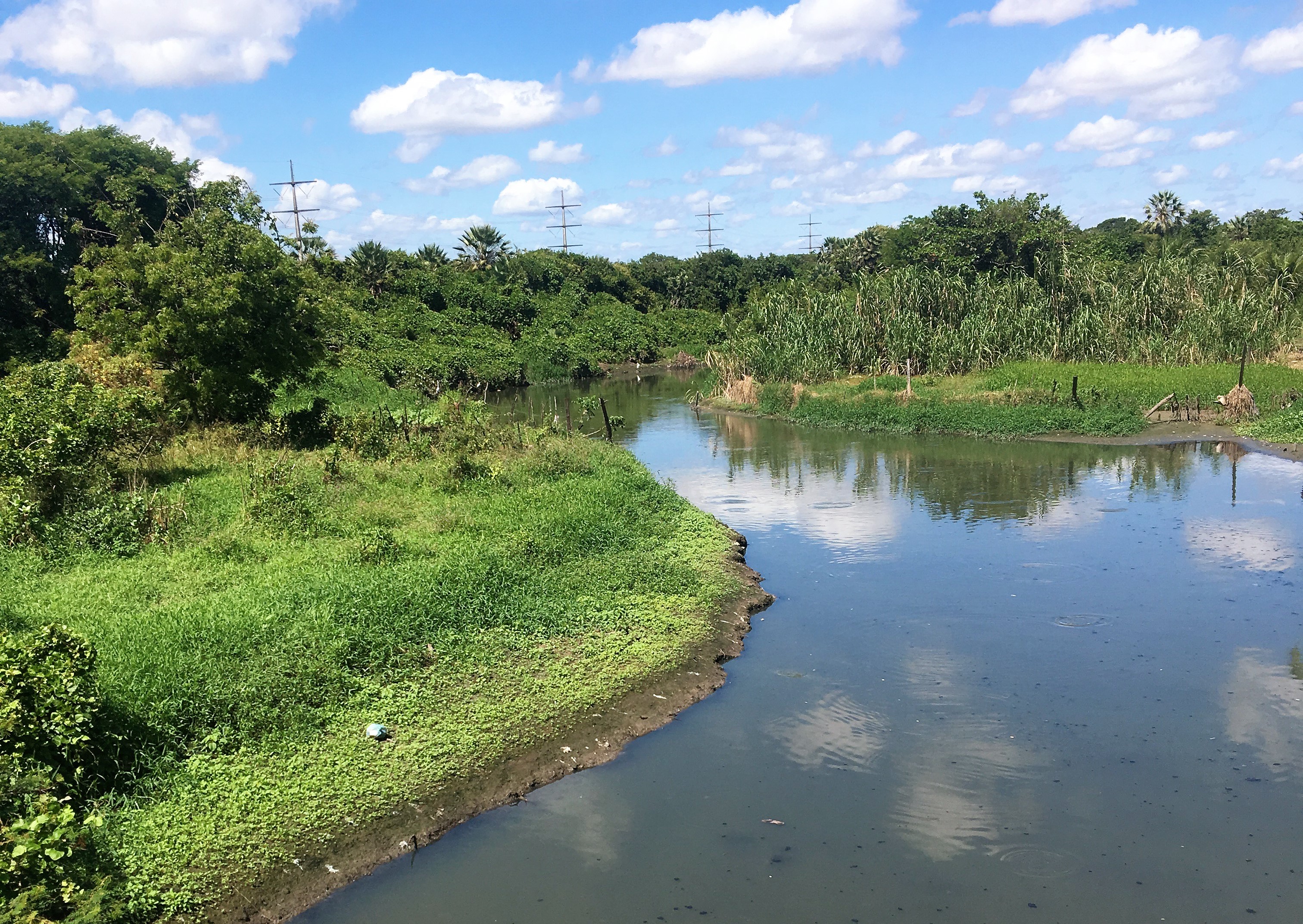 Fenômeno seiche pode ter causado a morte de peixes no Cocó