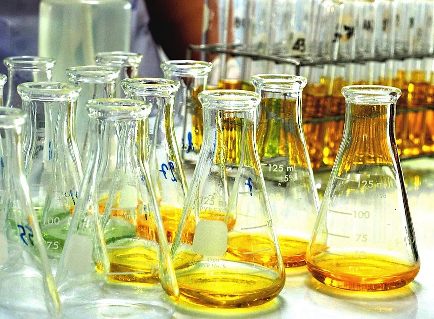 Força tarefa atualiza análise de relatórios de monitoramento ambiental
