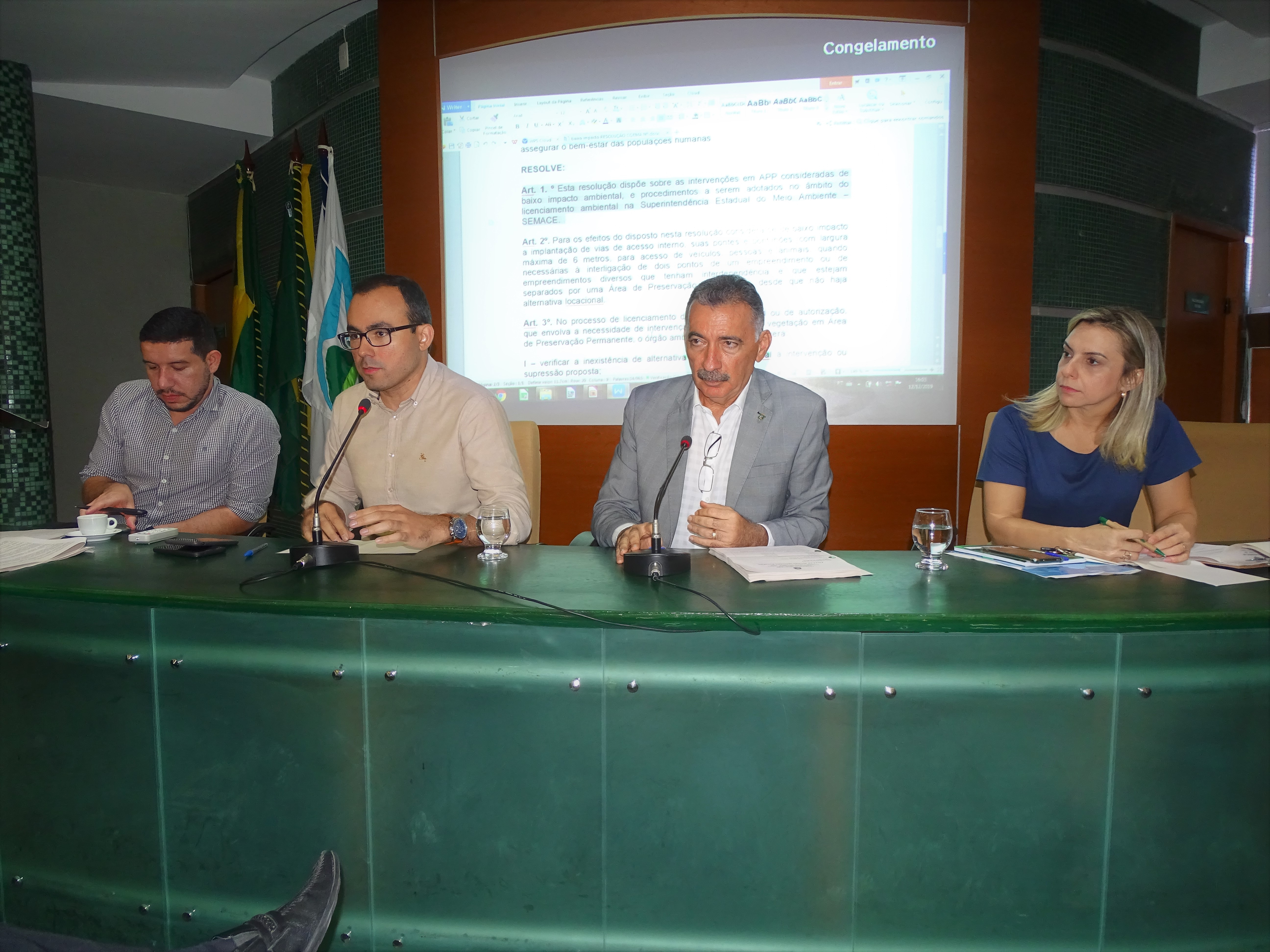 Coema disciplina intervenções de baixo impacto