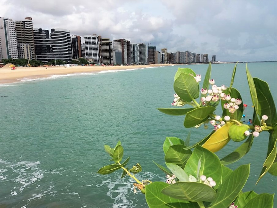 Zona oeste está imprópria para banho