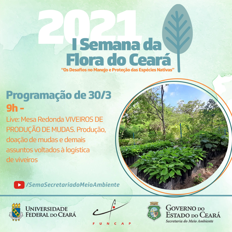 I Semana da Flora do Ceará nesta terça terá mesa virtual sobre viveiros de mudas