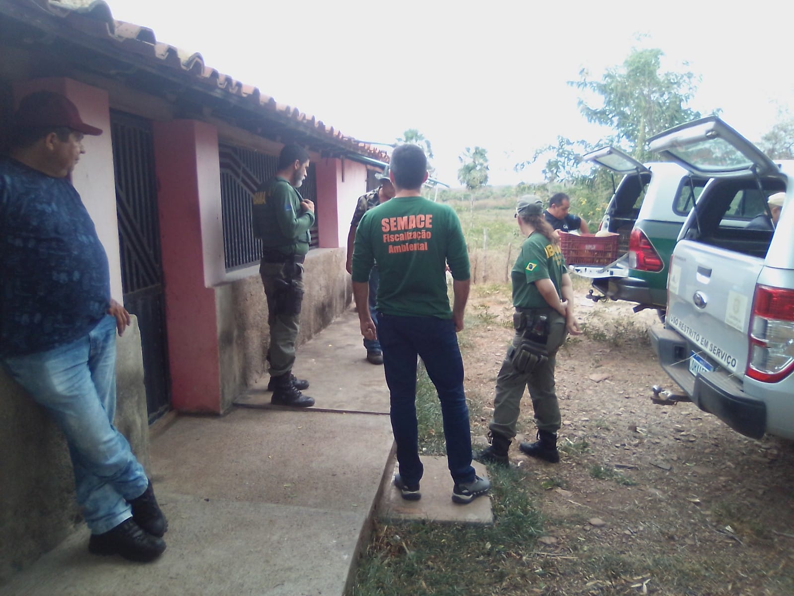 Semace realiza soltura de 66 animais silvestres
