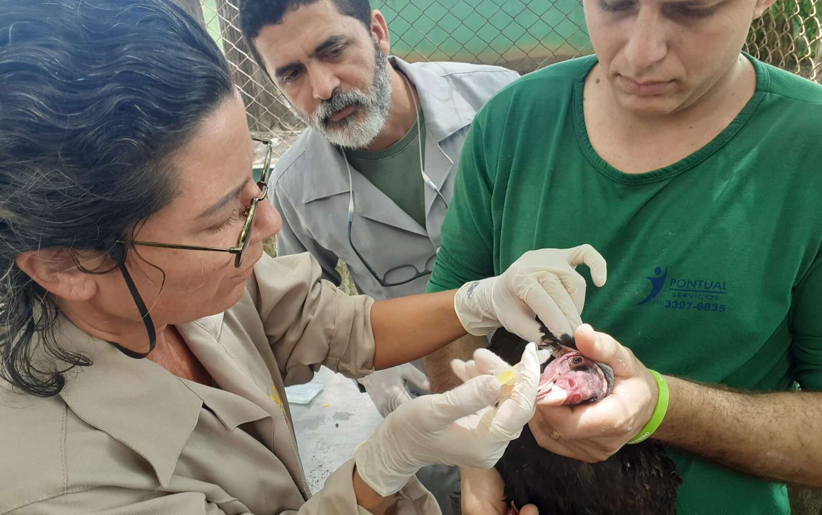 Semace e Ibama se unem para melhorias no Cetas