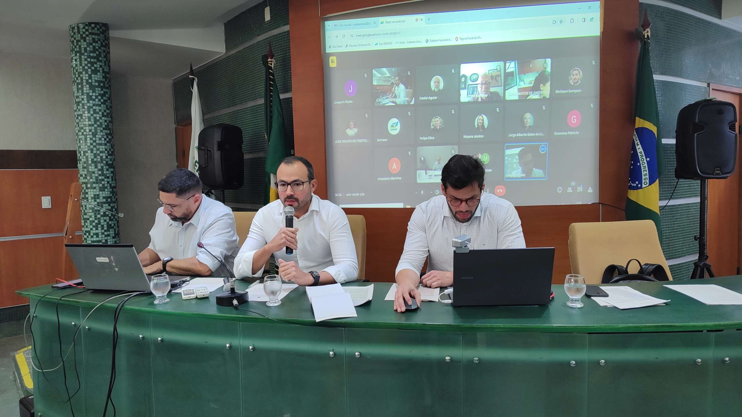 Coema aprova empreendimentos de energia renovável e carcinicultura