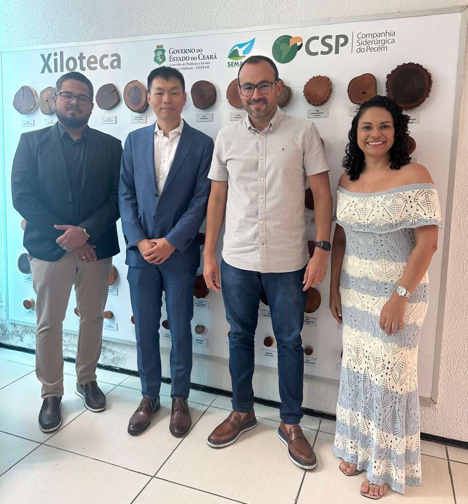 Com investimento de R$ 1 bi, Semace discute últimos passos para Licença de Operação do Complexo Solar em Mauriti