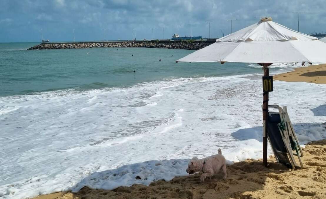 Fortaleza tem 11 trechos próprios para banho neste fim de semana