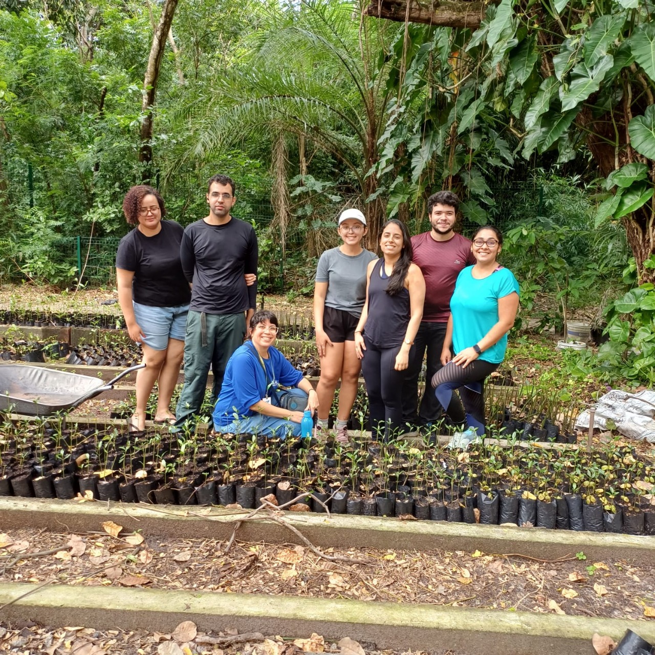 Semace apoia produção de mudas para restauração de área queimada no Parque do Cocó