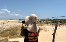 Semace registra aumento de 45% nas autuações por irregularidades relacionadas ao licenciamento ambiental