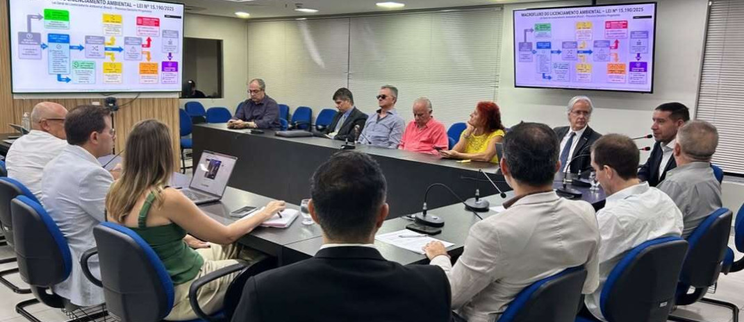 Semace apresenta orientações sobre licenciamento ambiental em reunião da Câmara das Energias