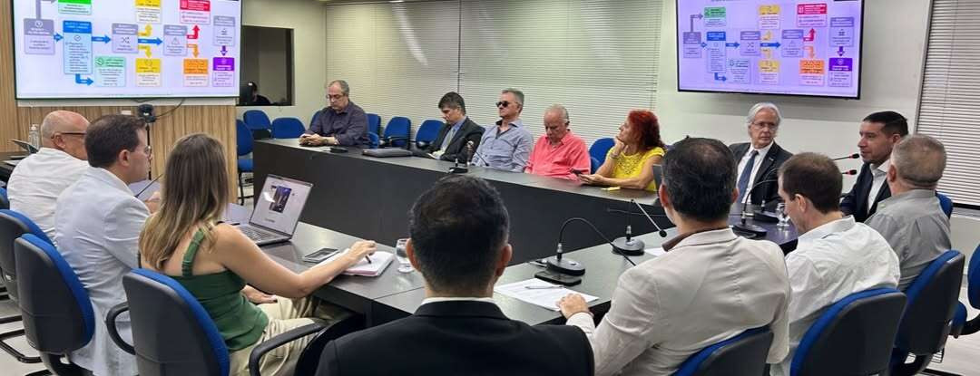 Semace apresenta orientações sobre licenciamento ambiental em reunião da Câmara das Energias