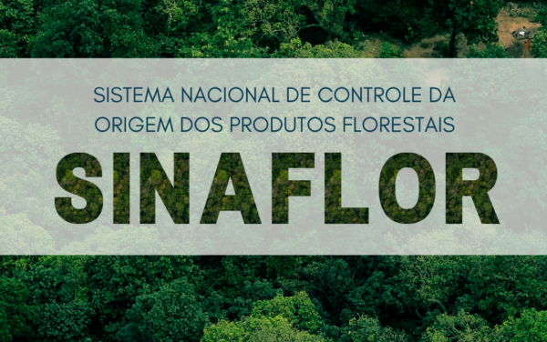 Semace recebe capacitação do Ibama sobre o sistema Sinaflor; inscrições abertas até 31 de março