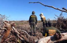 Operação do MP, em parceria com Ibama, Semace e SSPDS, embarga quase 2 mil hectares de área desmatada ilegalmente no Ceará