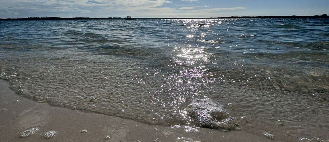 Semace realiza coleta para monitoramento da qualidade da água na Lagoa de Jijoca