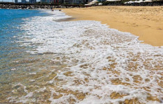 Vai curtir o feriadão na praia? Veja onde o banho está próprio em Fortaleza