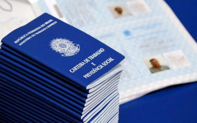 STDS e IDT lançam o boletim “Mercado de Trabalho em Foco”