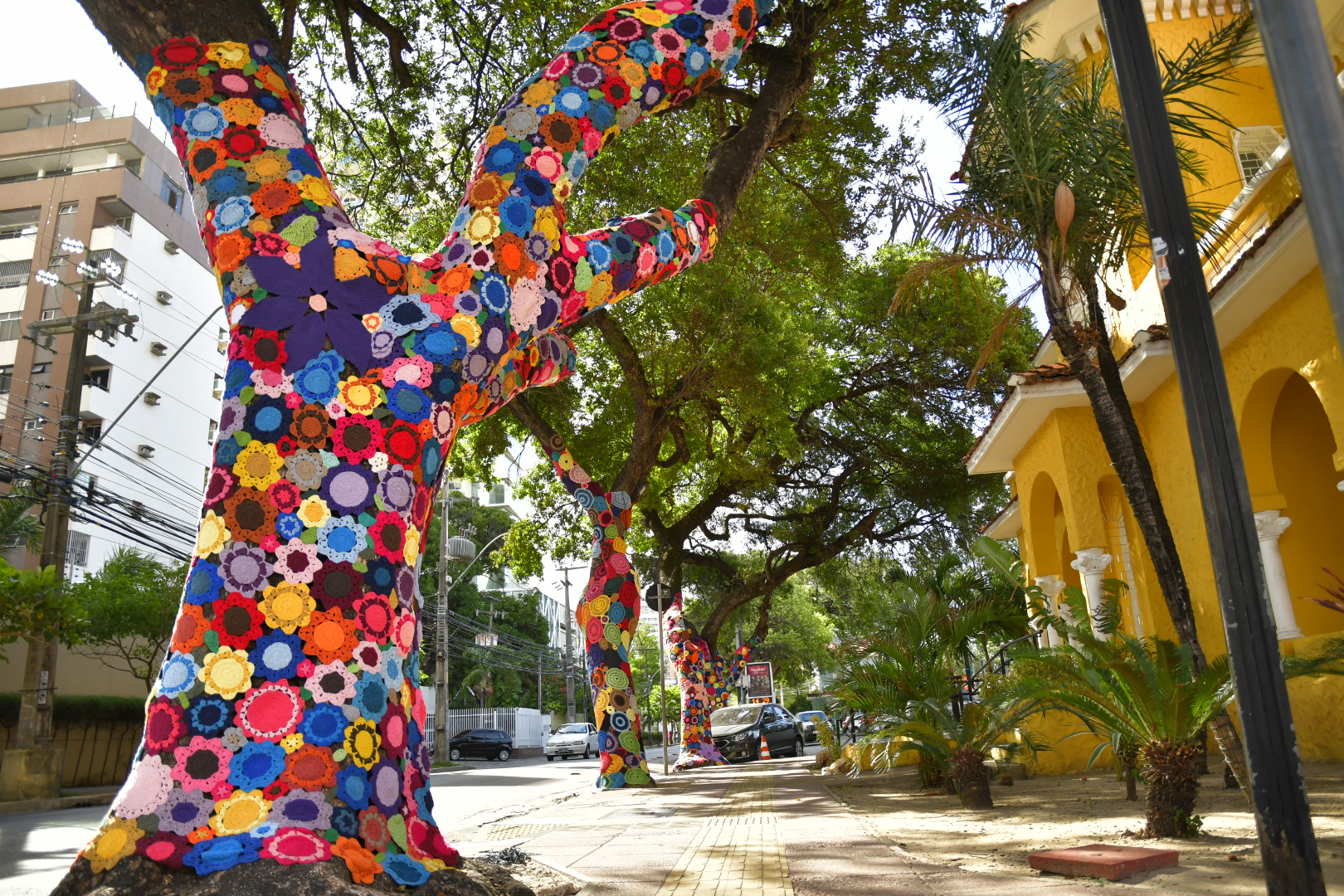 CeArt celebra 40 anos e inaugura decoração natalina na Praça Luíza Távora