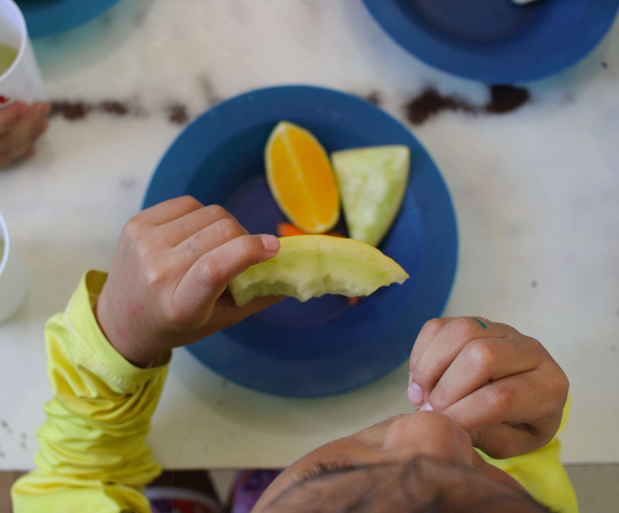 Cinquenta e cinco municípios cearenses já aderiram ao Sistema Nacional de Segurança Alimentar e Nutricional