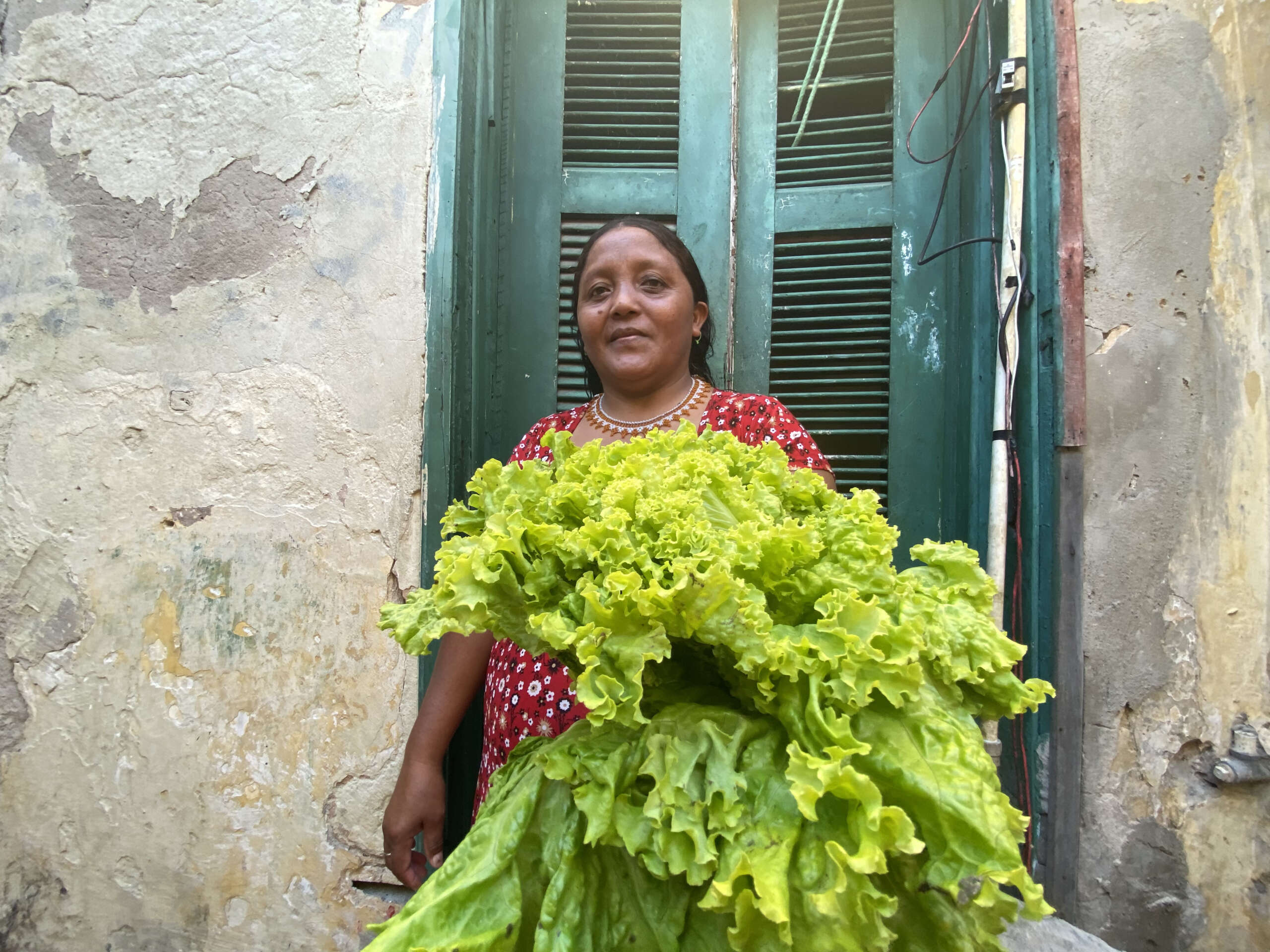 Famílias indígenas da etnia Warao recebem alimentos do Mais Nutrição