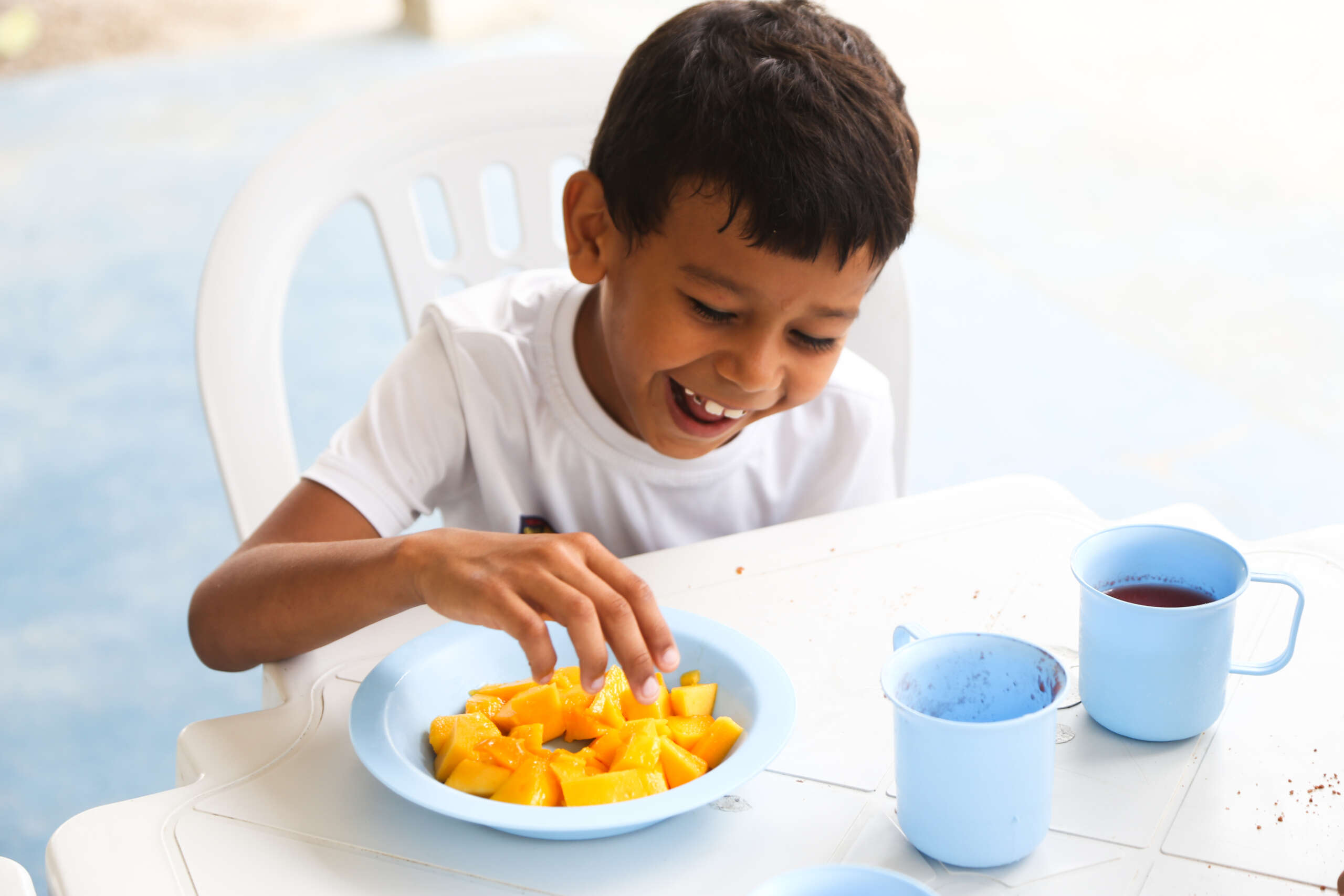 Doações do programa Mais Nutrição ultrapassam quatro milhões de quilos de alimentos