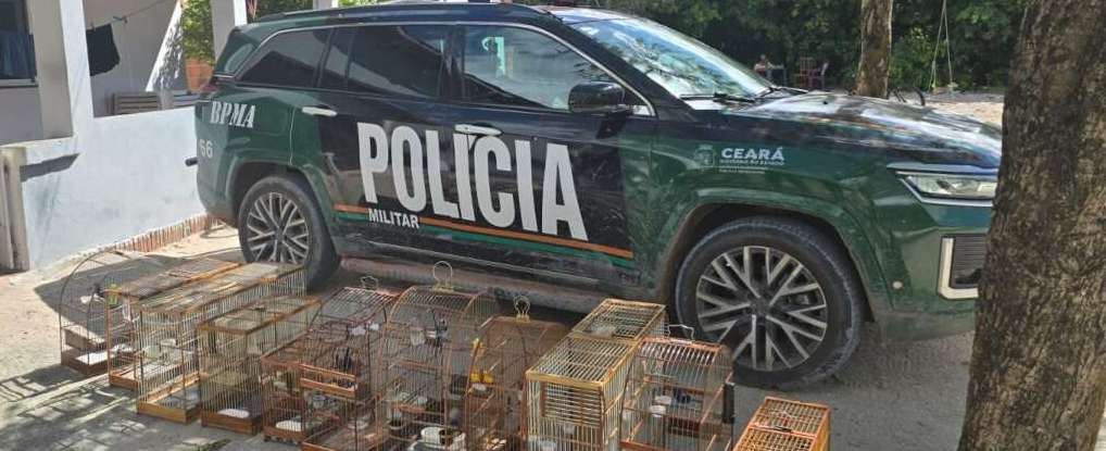 PMCE apreende aves silvestres, arma de fogo e munições durante ações da Operação Biomas em Acaraú