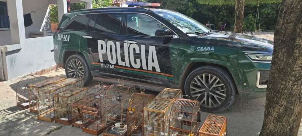 PMCE apreende aves silvestres, arma de fogo e munições durante ações da Operação Biomas em Acaraú
