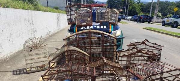 Polícia Militar resgata 16 aves silvestres mantidas irregularmente em cativeiro no Crato