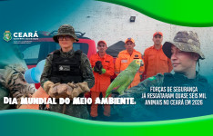 Dia Mundial do Meio Ambiente: Forças de Segurança já resgataram quase seis mil animais no Ceará em 2026
