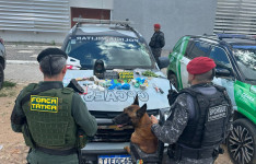 PMCE prende mulher por suspeita de tráfico de drogas em Barbalha