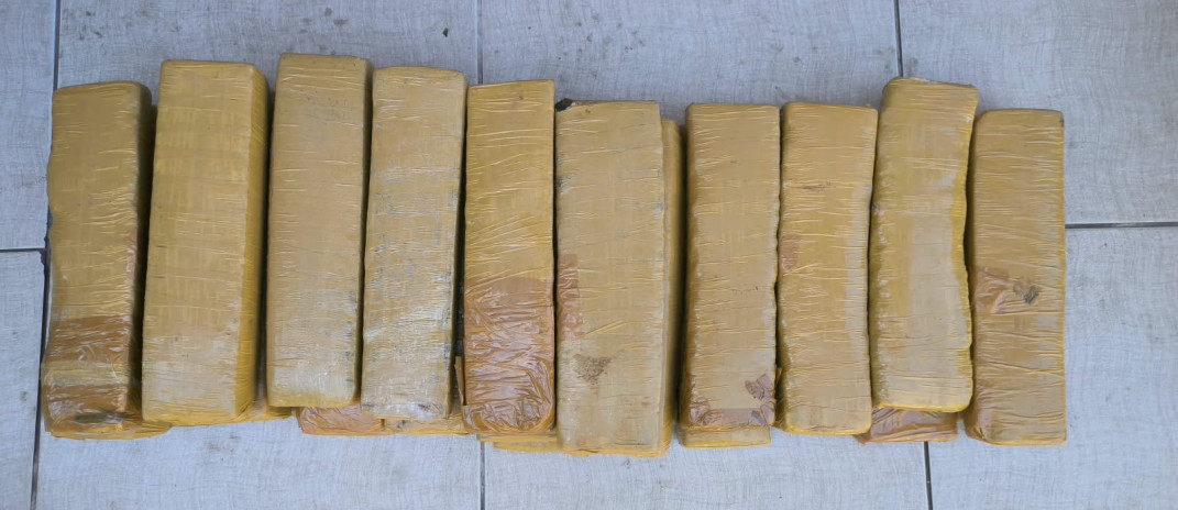 Durante ação conjunta em Fortaleza, PCCE e Receita Federal apreendem mais de 24 kg de maconha