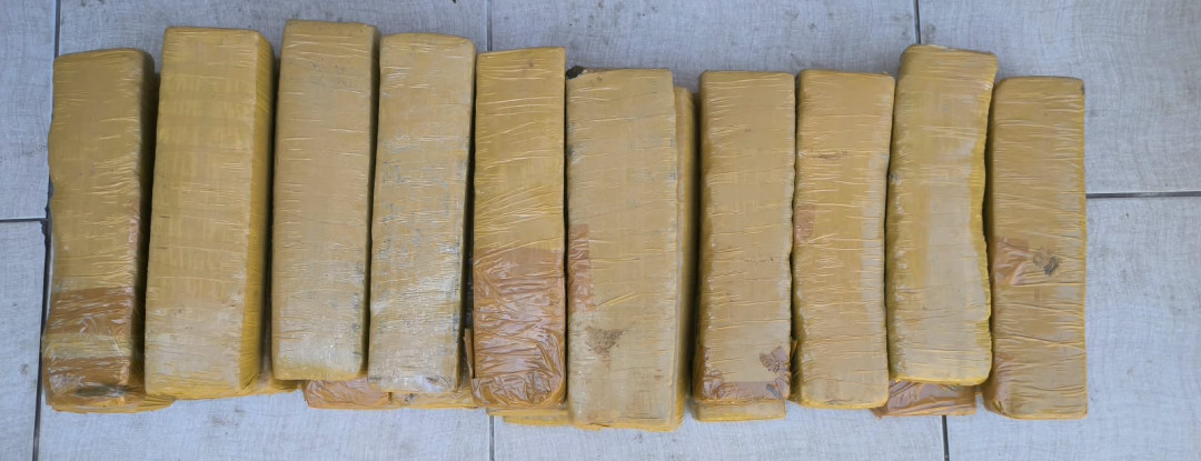 Durante ação conjunta em Fortaleza, PCCE e Receita Federal apreendem mais de 24 kg de maconha