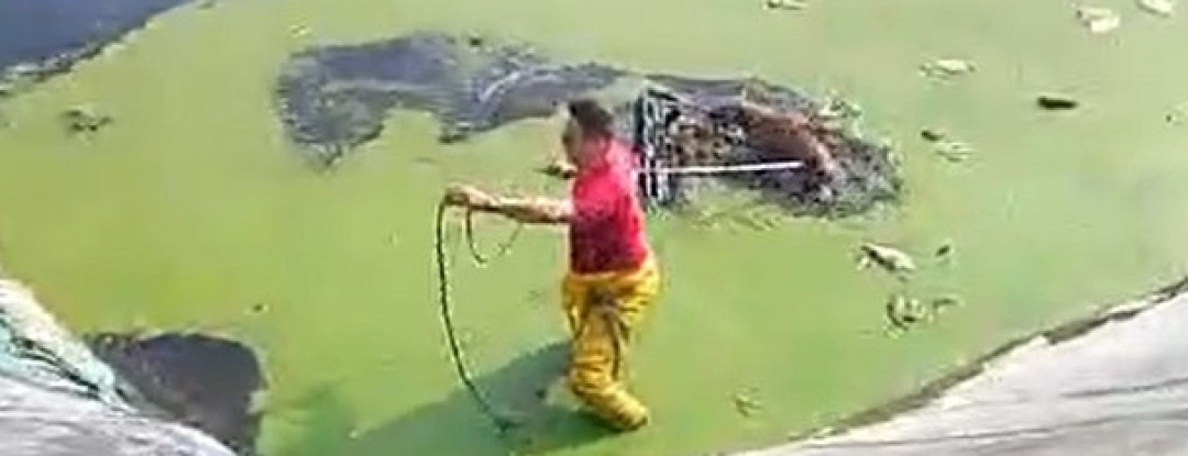 Corpo de Bombeiros resgata quatro cães que estavam presos em reservatório na cidade de Maracanaú