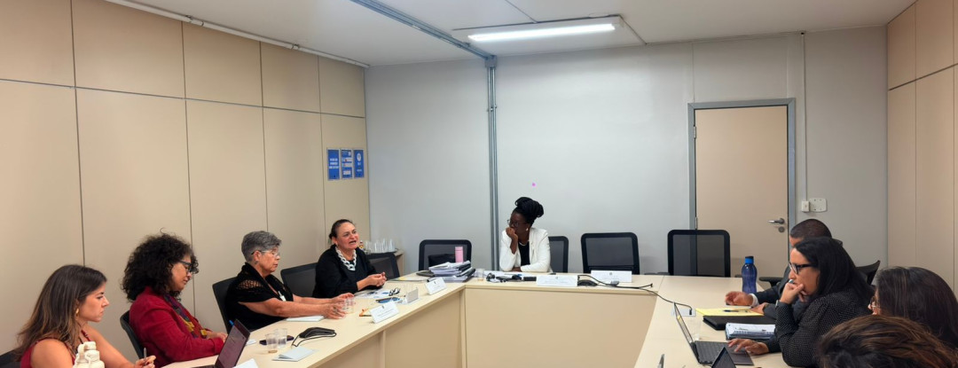 Supesp participa de encontro para reformulação da matriz curricular de profissionais de segurança