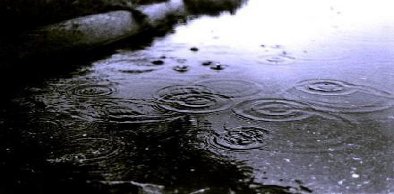 Pré-estação causa chuva em 151 municípios cearenses