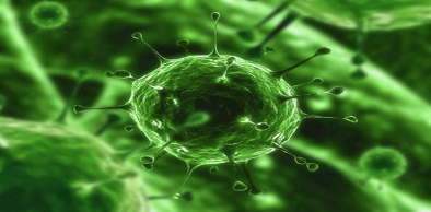 UECE desenvolve primeira vacina vegetal no mundo para combate ao vírus da dengue