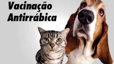 Campanha para vacinar cães e gatos contra raiva começa neste sábado (2)