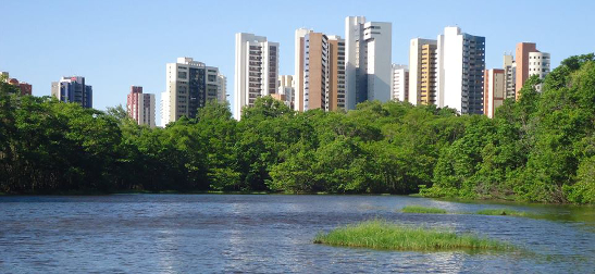 Reflorestamento do Parque do Cocó será iniciado nesta sexta (15) em ação no Tancredo Neves