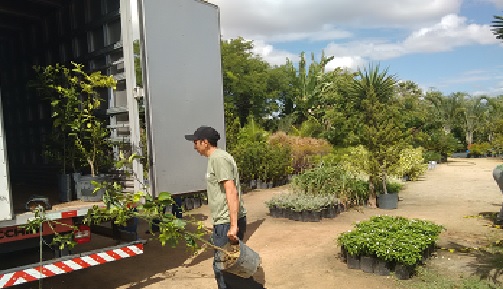 Adagri realiza fiscalização de viveiros em Fortaleza e Limoeiro do Norte