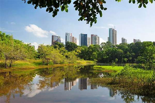 Regulamentação do Cocó será apresentada em reunião do Coema nesta quinta (1)