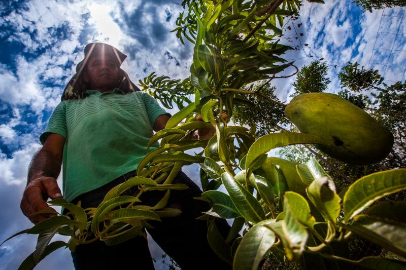 Evento com prefeitos marca início do Cadastramento Ambiental Rural