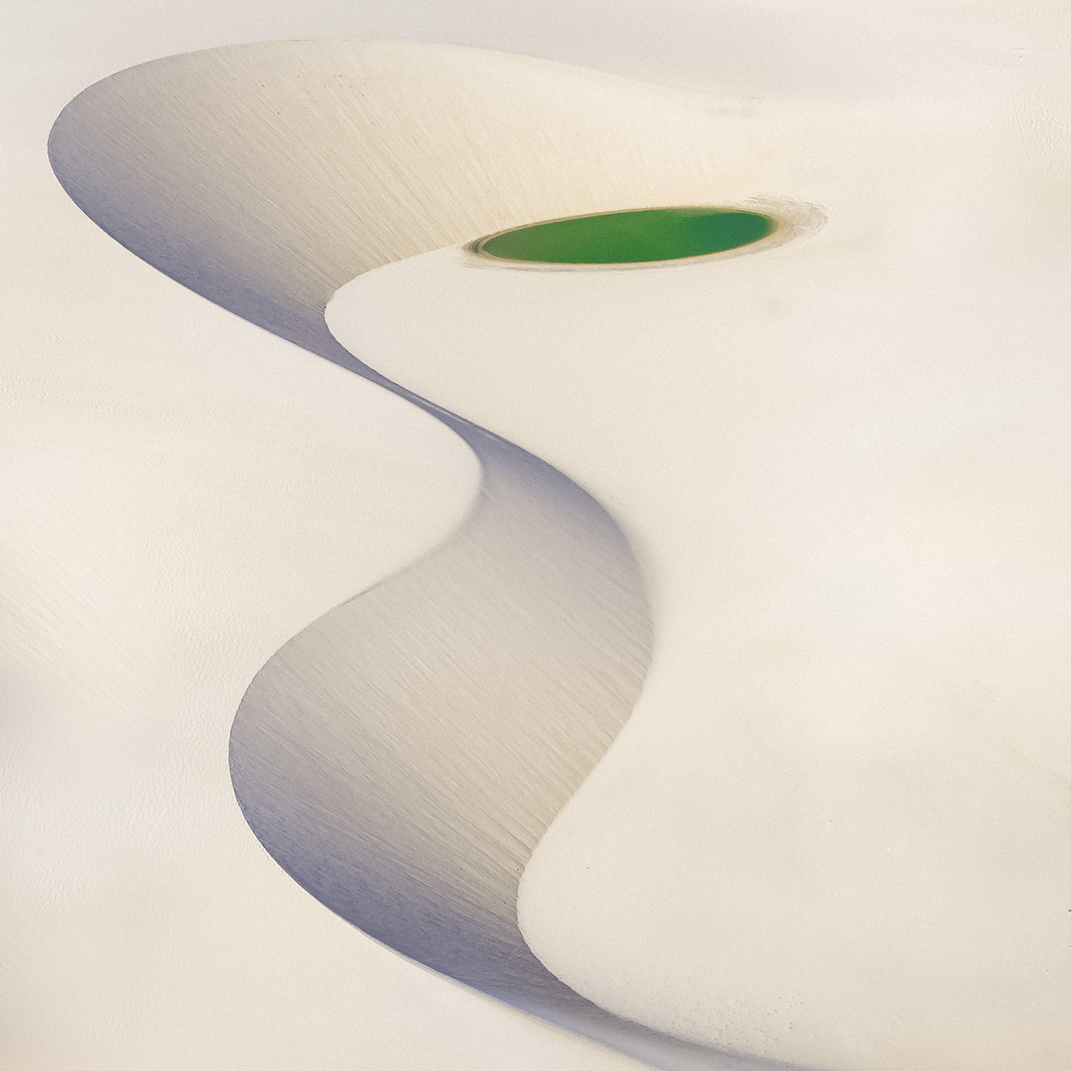 Exposição “Os seres São vivos” do fotógrafo Celso Oliveira entra em cartaz dia 11/01 na Multigaleria do Dragão do Mar