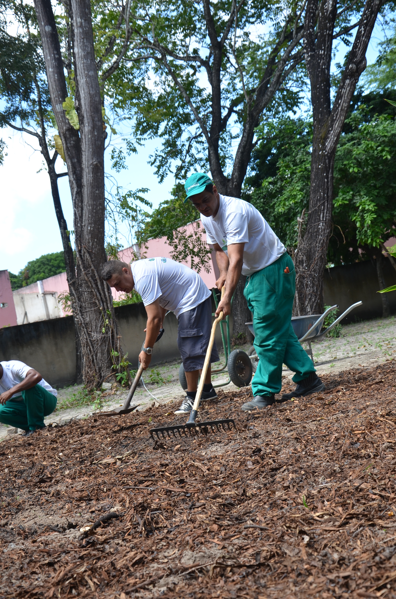 Sejus promove curso de jardinagem para 20 egressos do sistema penitenciário