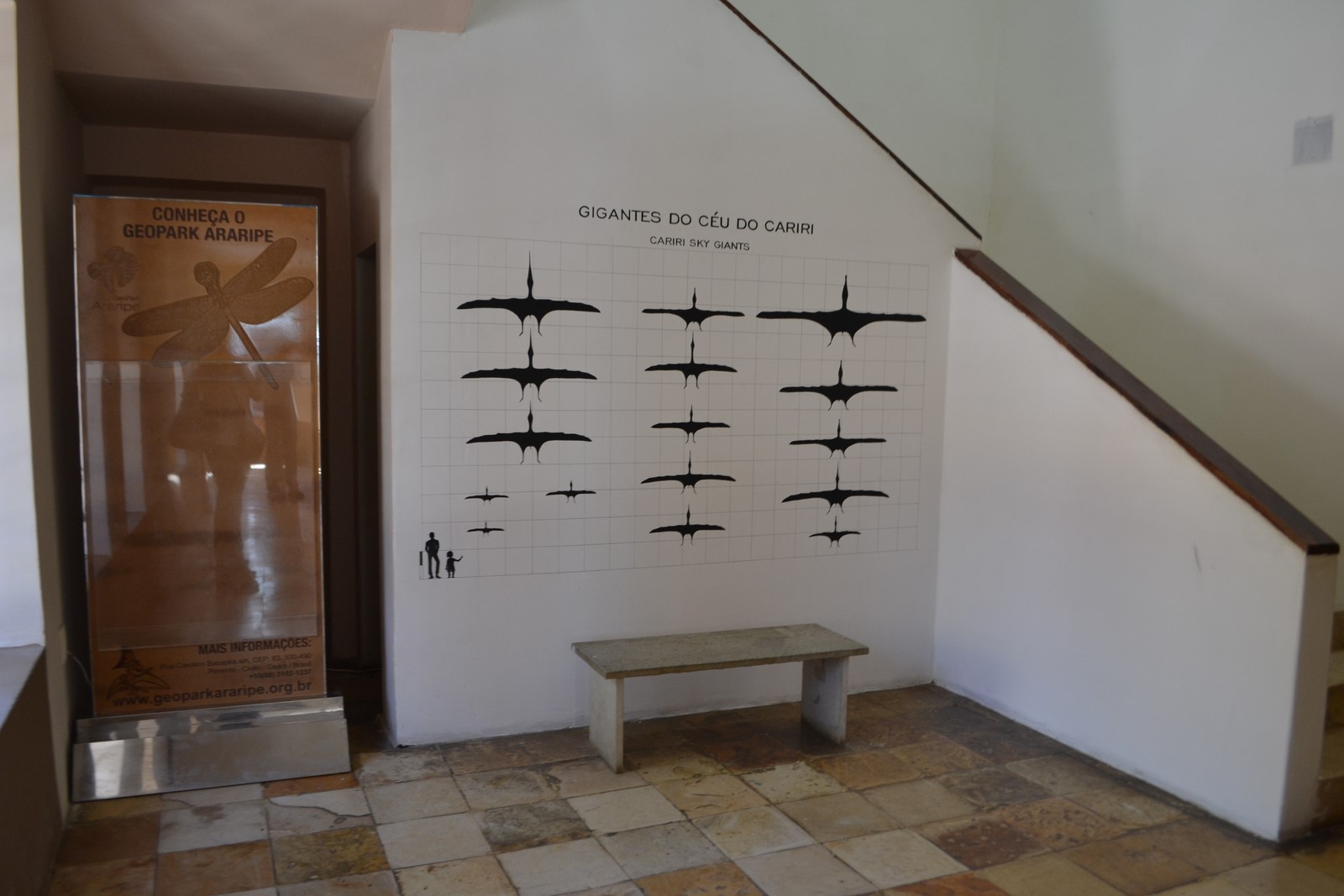 Urca reinaugura Museu de Paleontologia no próximo dia 17