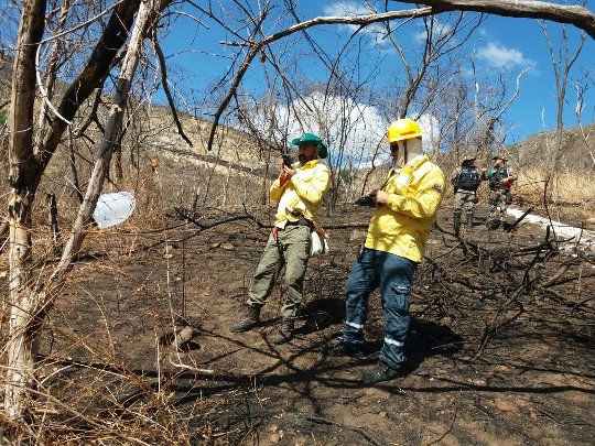 Sema passa a realizar perícia de incêndios florestais em Unidades de Conservação