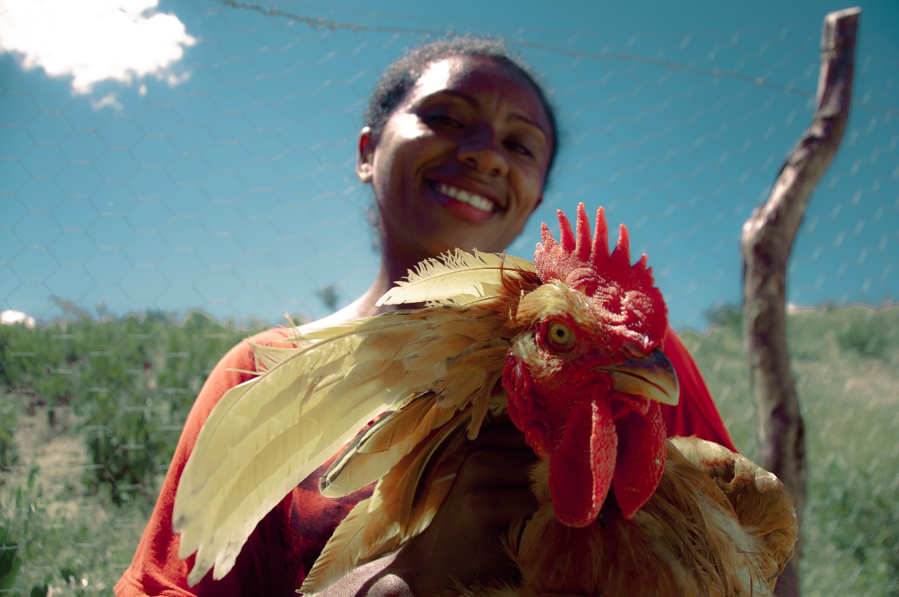 Dia da Consciência Negra: SDA apresenta balanço de ações para quilombolas