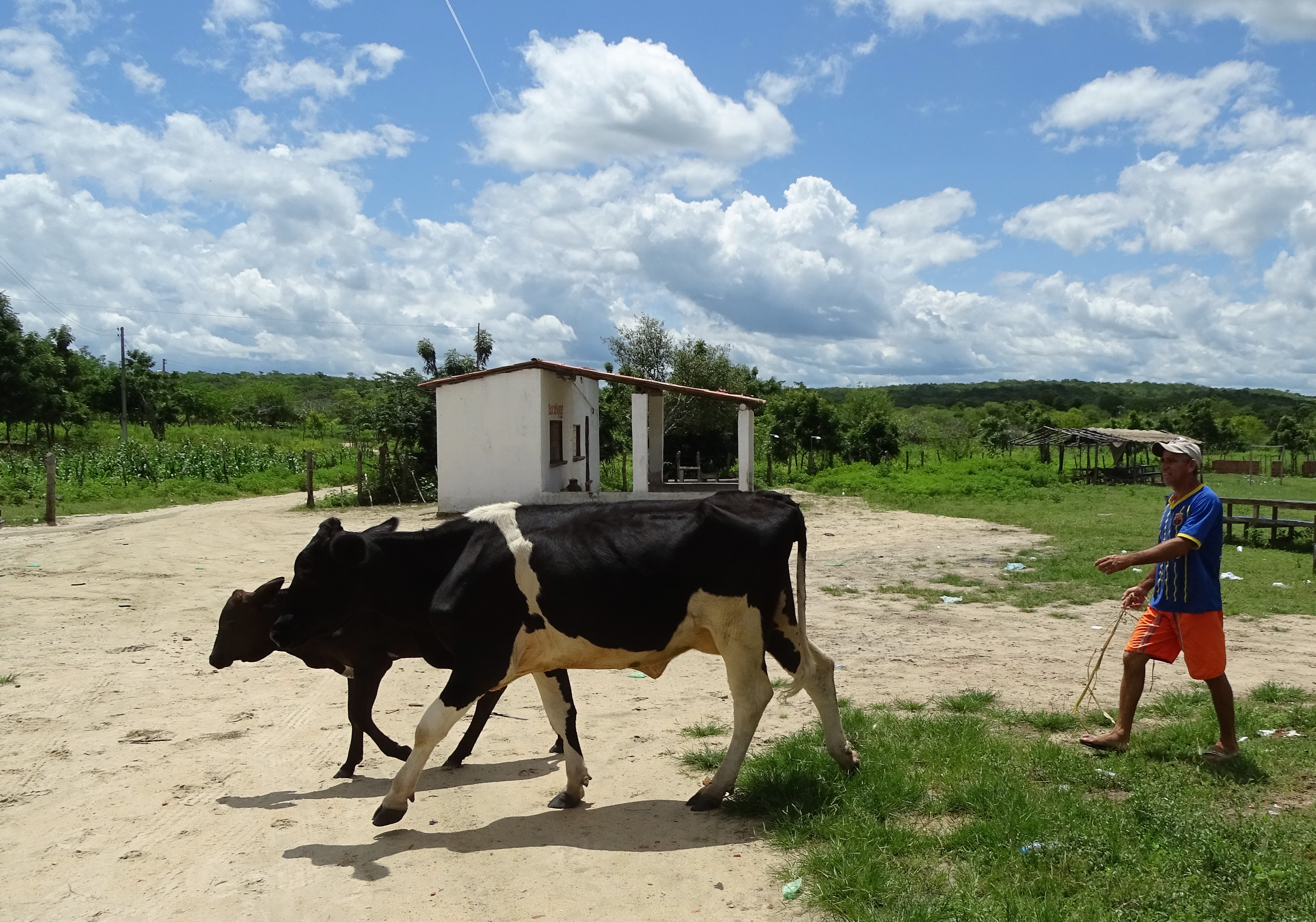 Semace manterá postos de atendimento do Cadastro Ambiental mesmo depois do prazo