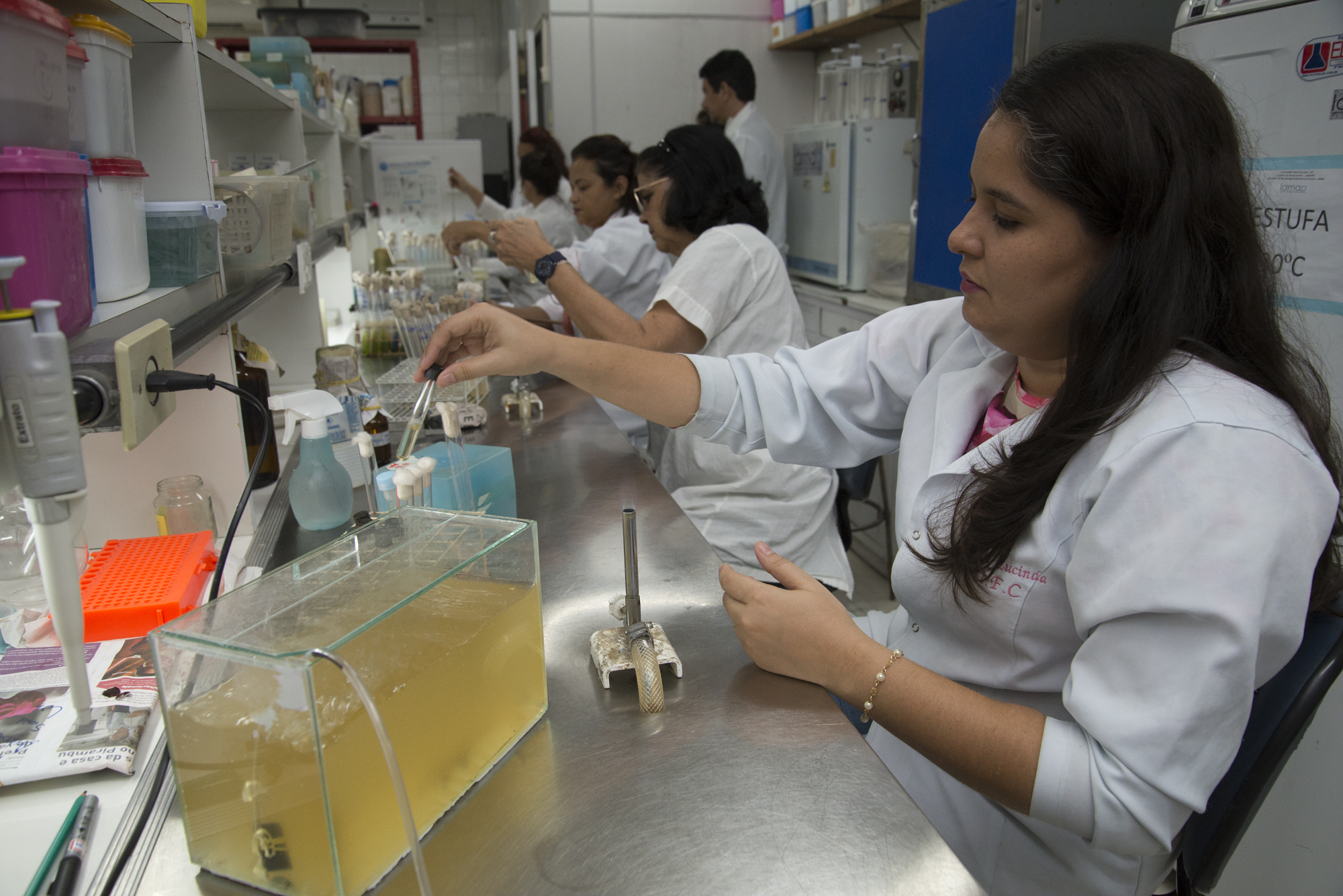 Cientista Chefe leva a ciência para gestão pública