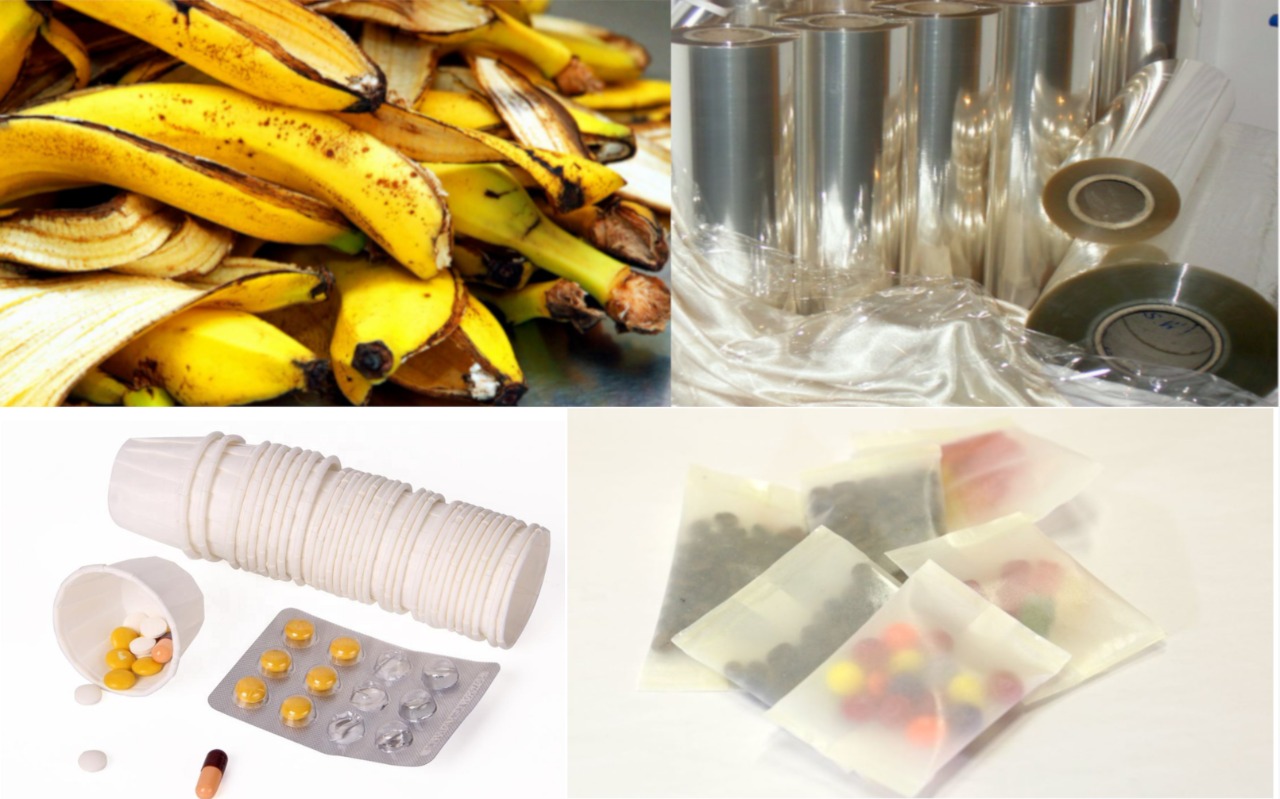 Pesquisadores estudam casca da banana como fonte para medicamentos e polímeros