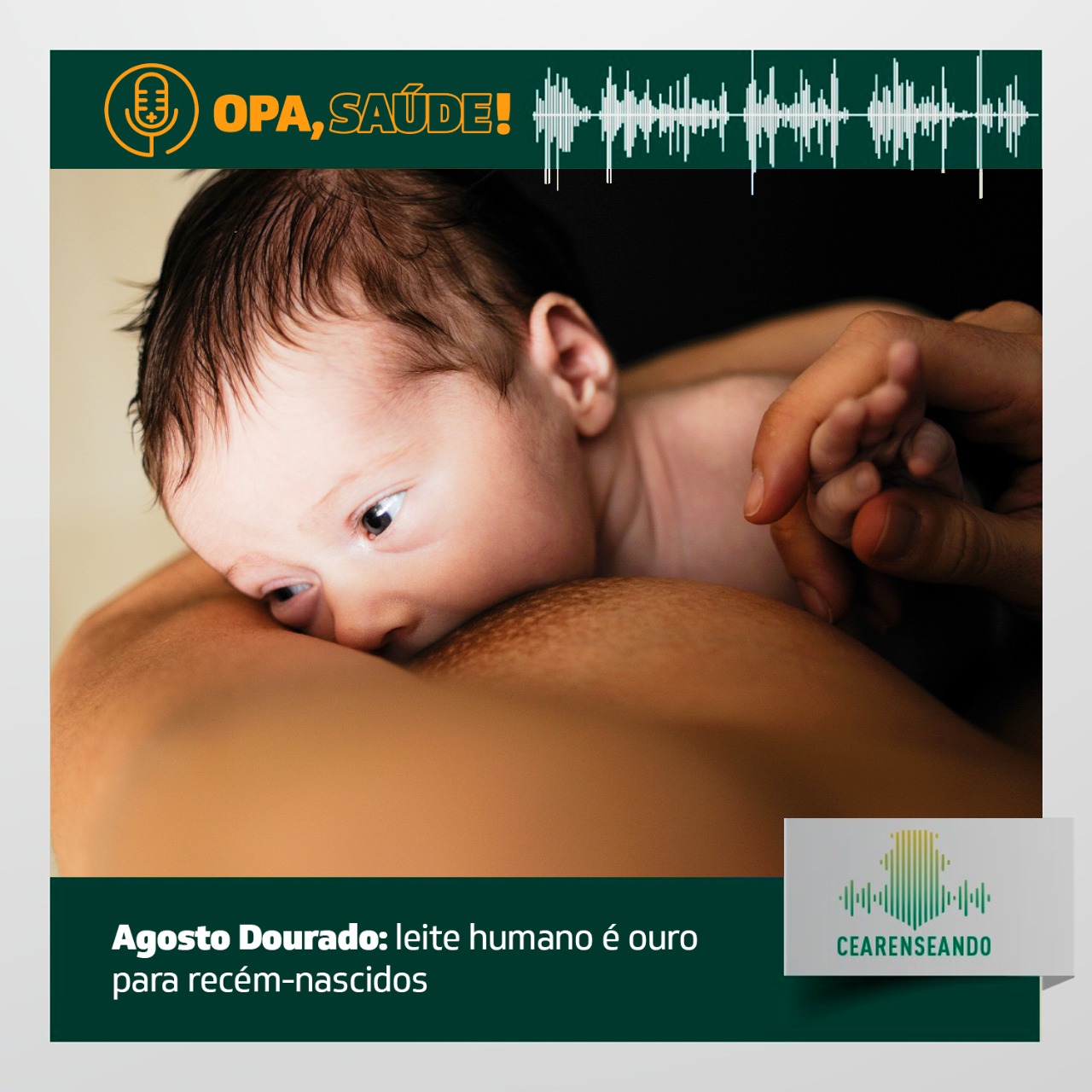 Opa, Saúde! #17 – Agosto Dourado: leite humano é ouro para recém-nascidos