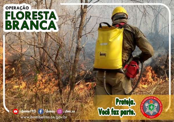 CBMCE lança operação “Floresta Branca” com foco na redução de incêndios florestais