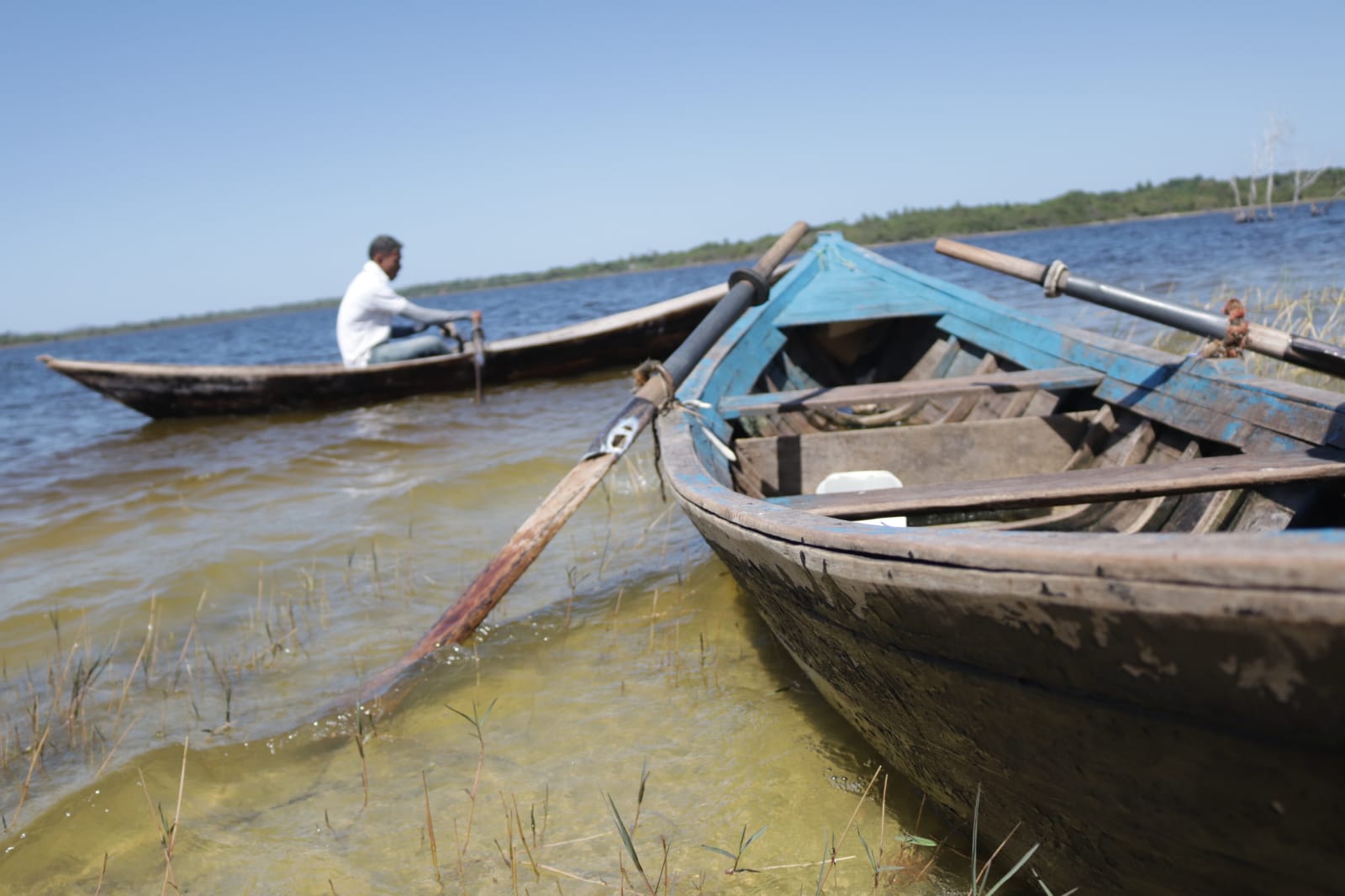 Peixamento dos Reservatórios Públicos distribui 220 mil alevinos nesta semana